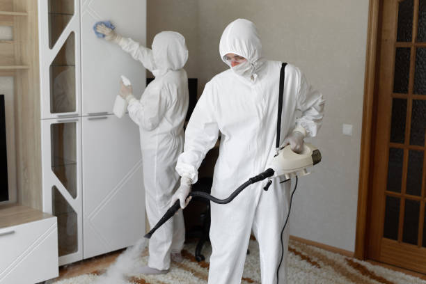 Best HVAC Mold Remediation in Hansen, ID